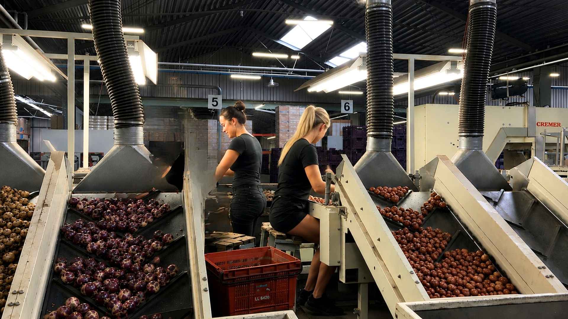A. Frijlink en Zn. Export BV1