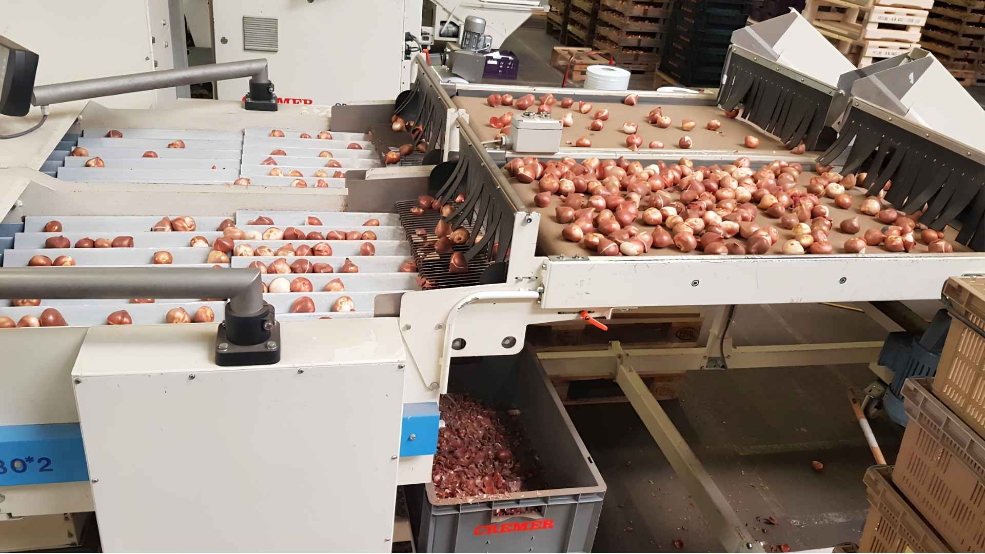 A. Frijlink en Zn. Export BV3